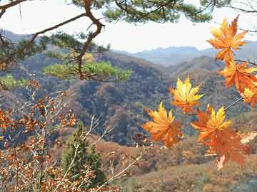 开云体育_ 《新剑侠情缘手游》电竞赛事开启，老牌IP焕发新活力，新剑侠情缘手游新区开服公告
