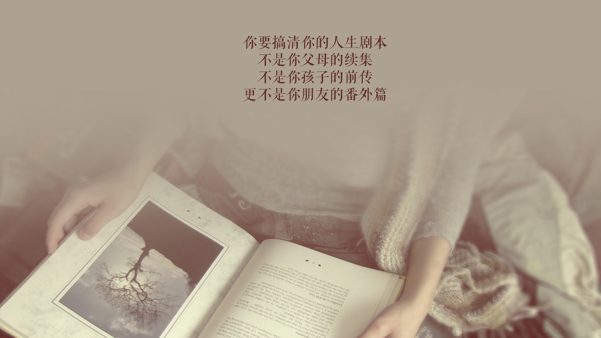 《Dota 2英雄传奇再现，顶尖战队激烈巅峰对决》，dota 2 英雄