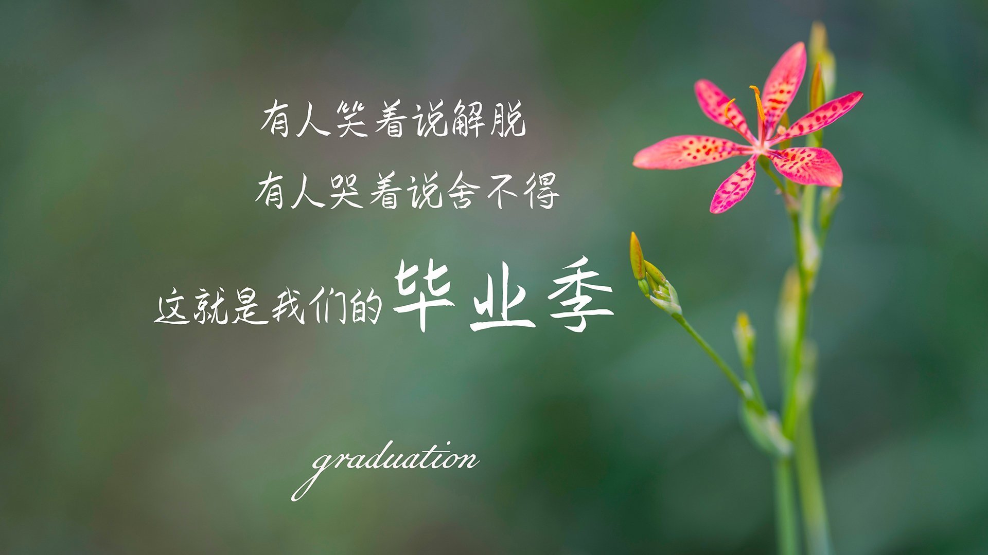 西班牙骑手在国际马术比赛中表现出色，获得多个奖项。，西班牙骑术学校