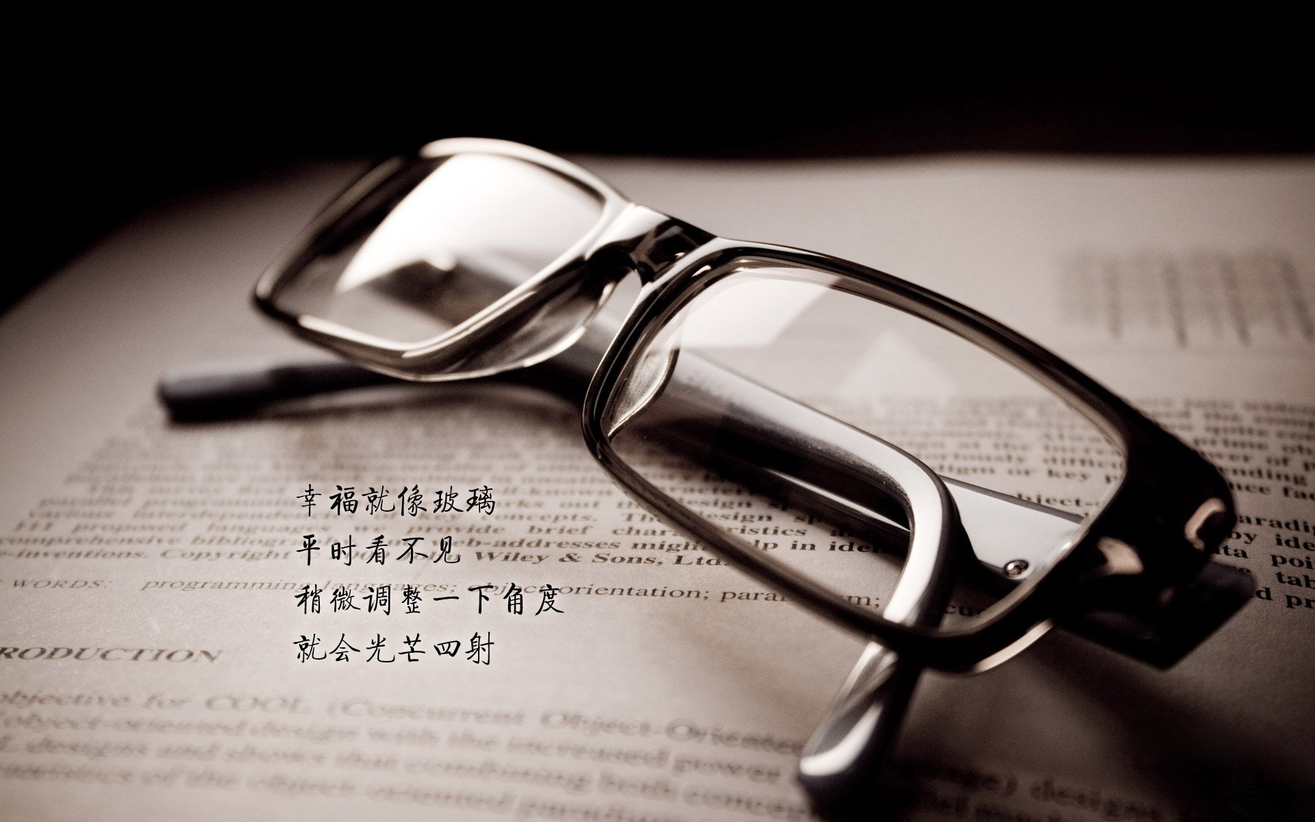 主场连胜助力球队排名攀升，前景光明，主场连胜纪录