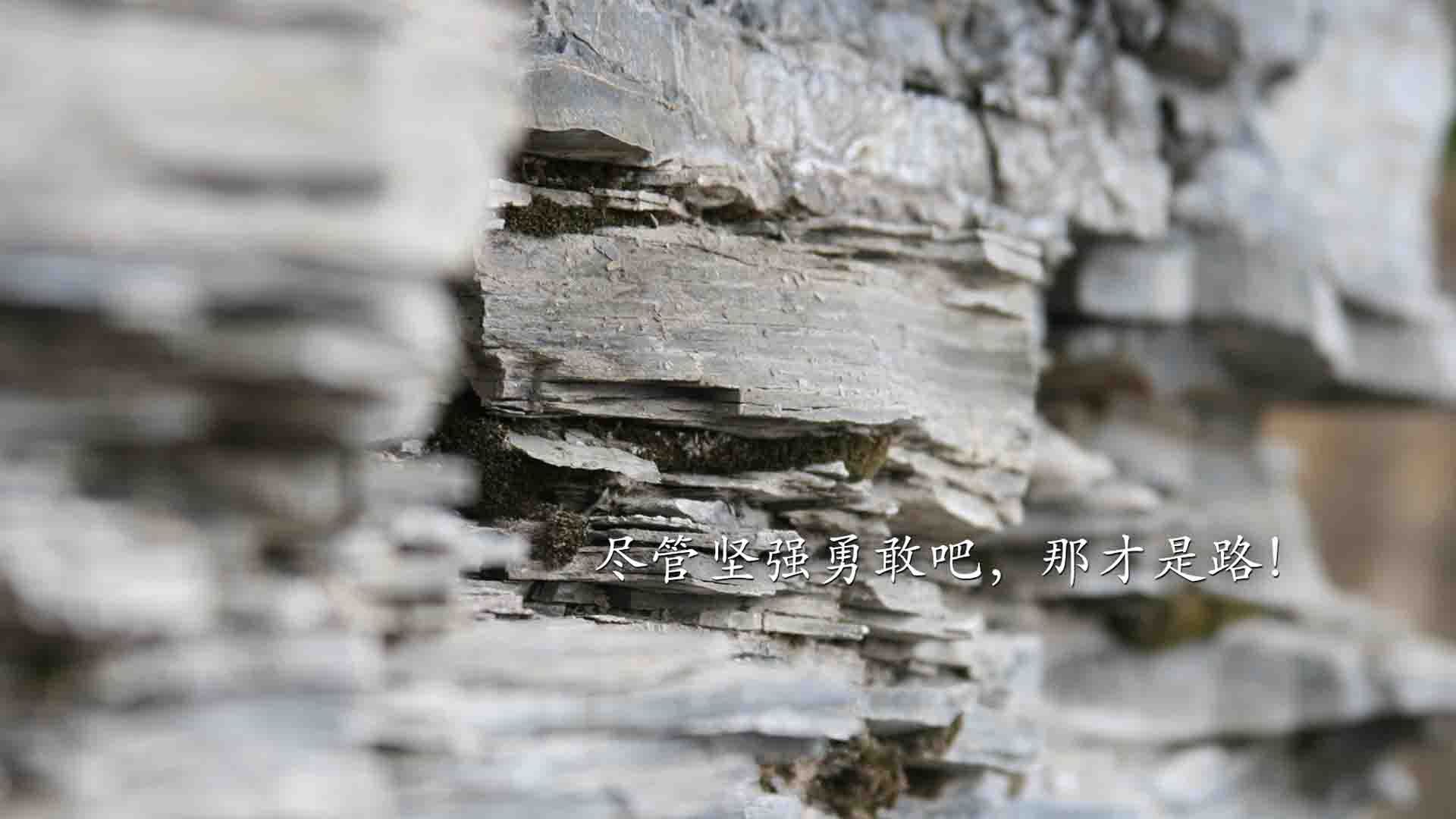梅西连续传射助攻，球队攻势如虹，梅西助攻数
