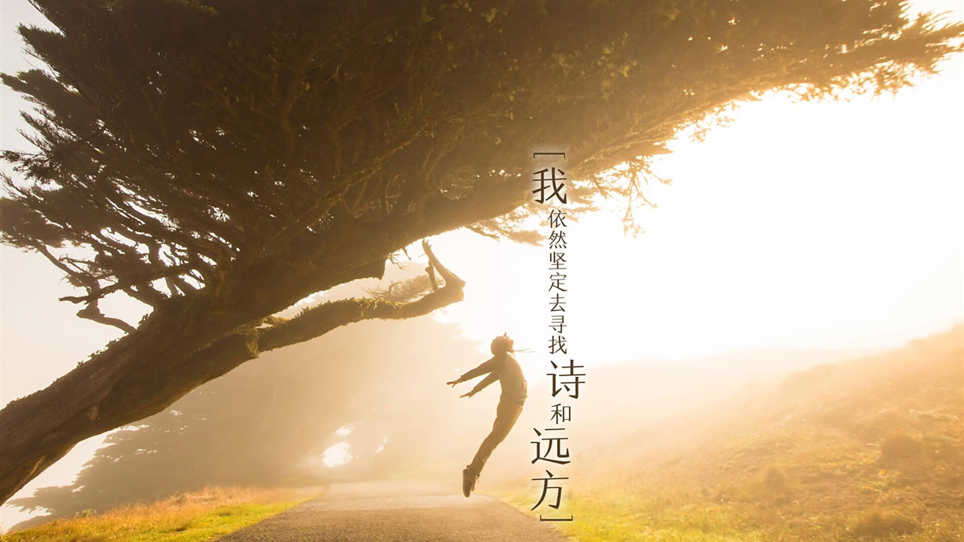 沙特球员成为亚洲联赛得分王，实力无人能敌，沙特亚洲杯预选赛
