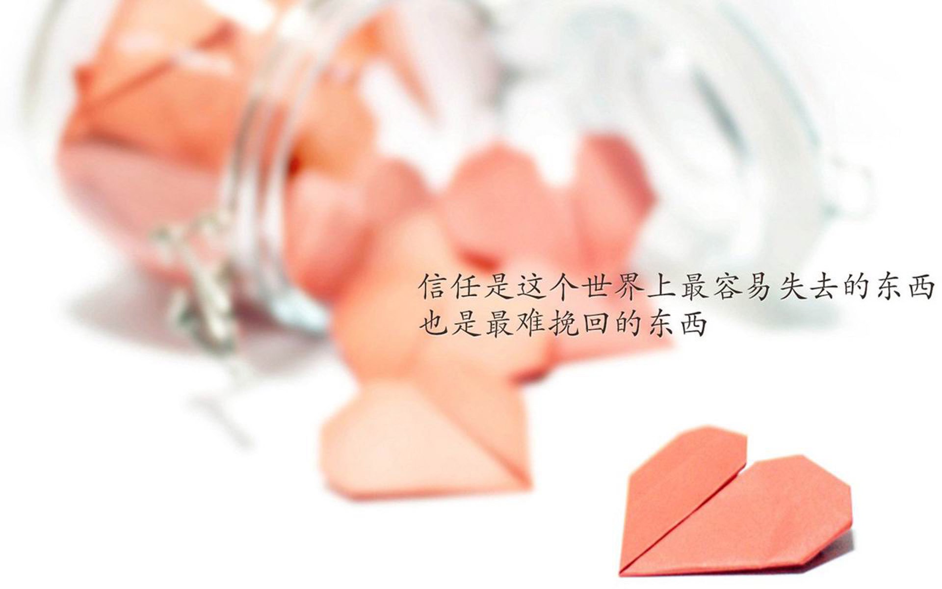 中国香港队团体赛制剖析：如何通过调整战略提升战术效果，香港队比赛