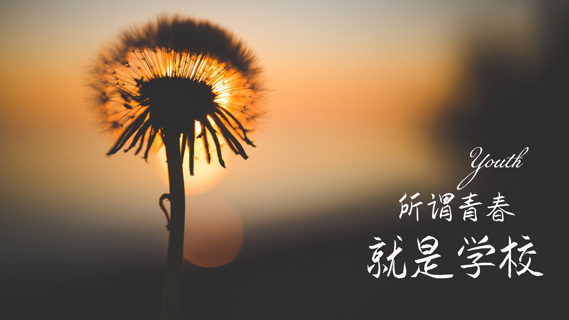 队员在媒体采访中表达信心强调团队凝聚力是制胜关键，员工遇到媒体采访应该怎么做