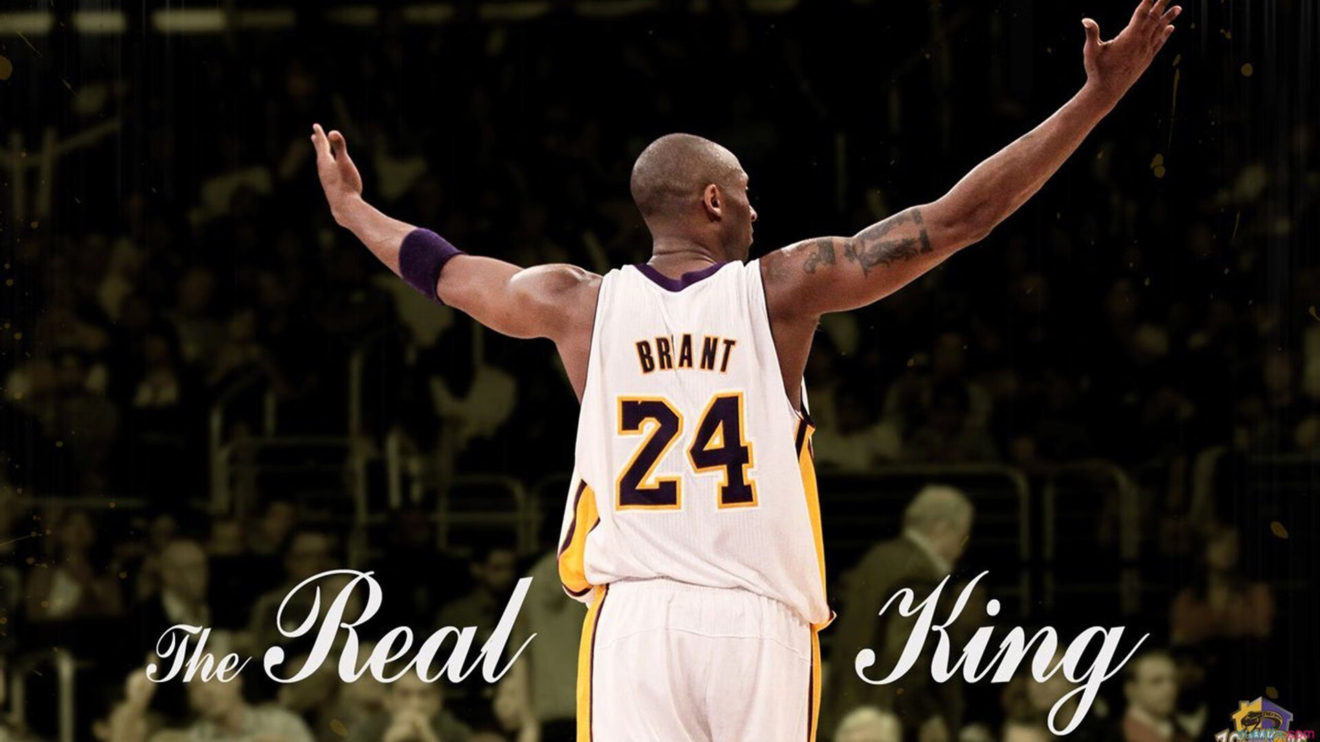 开云电竞-赛季最大黑马：突如其来的惊喜崛起队伍